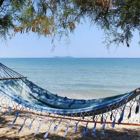Corfu Sea Palm - Cfu02015-fyc