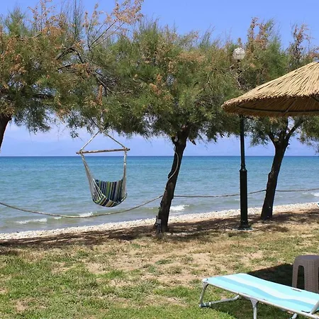 Casa vacanze Corfu Sea Palm - Cfu02015-fyc